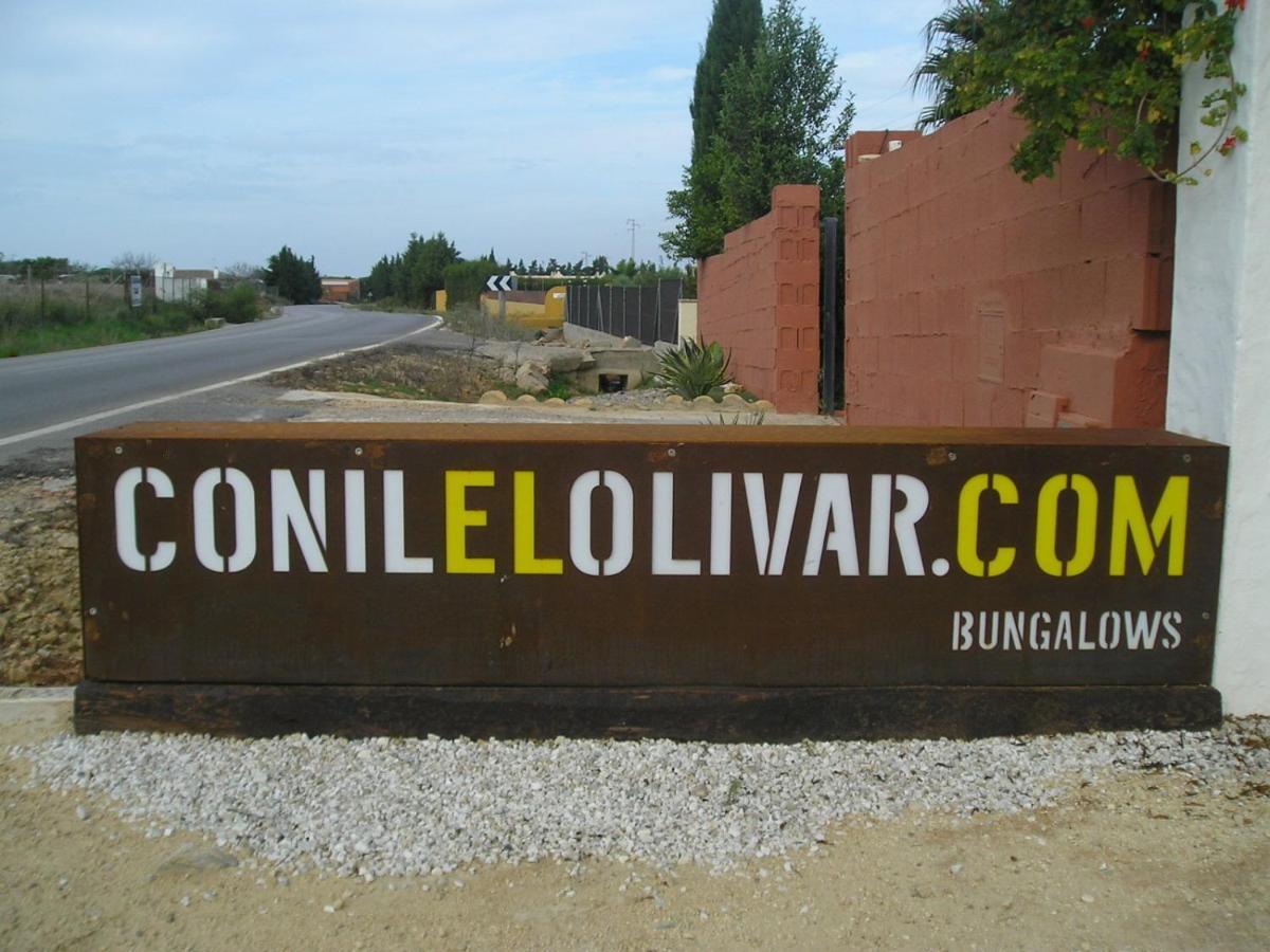 El Olivar De Roche Viejo Conil De La Frontera Exterior foto