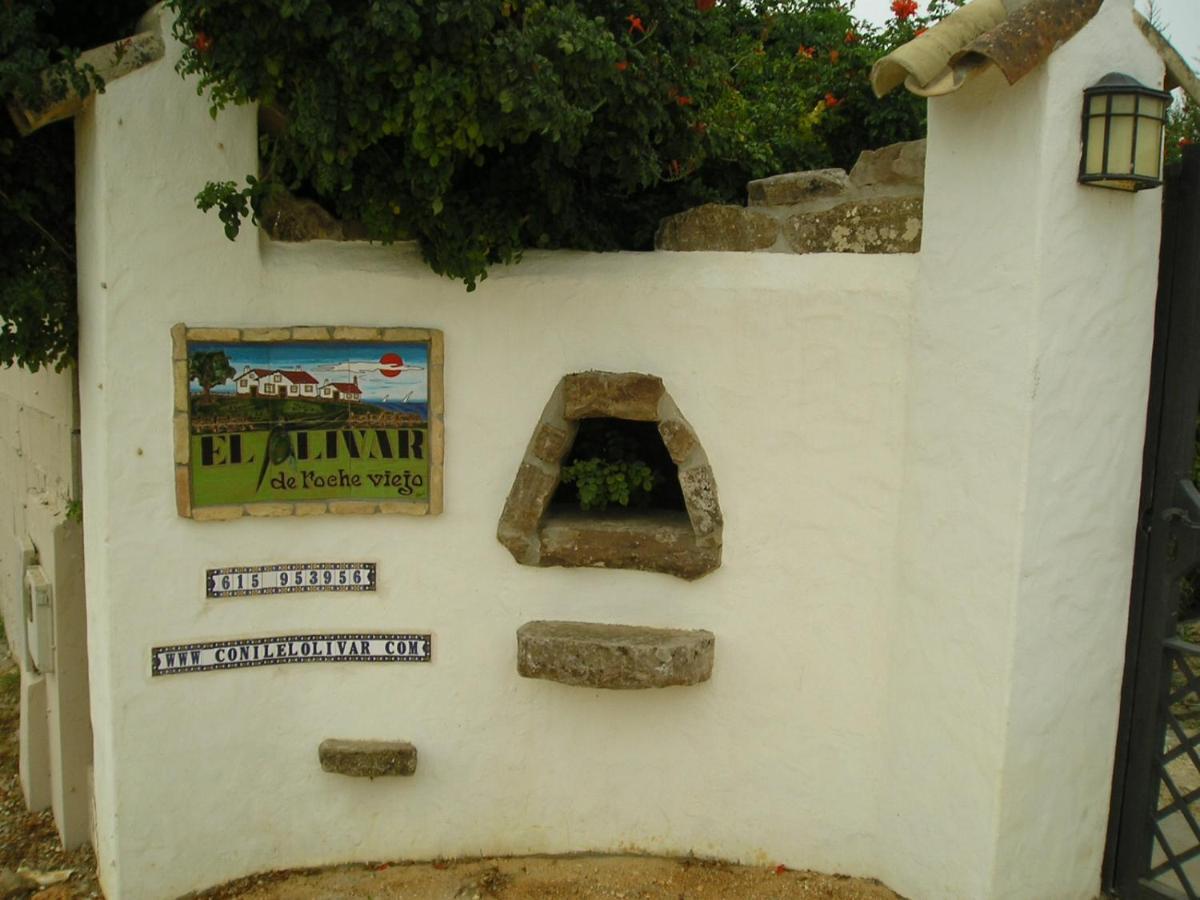 El Olivar De Roche Viejo Conil De La Frontera Exterior foto
