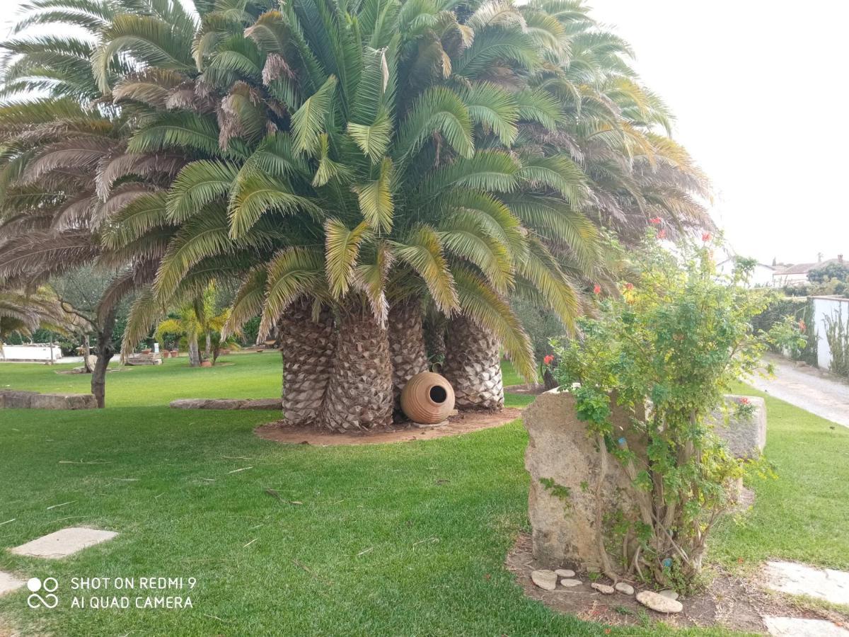 El Olivar De Roche Viejo Conil De La Frontera Exterior foto