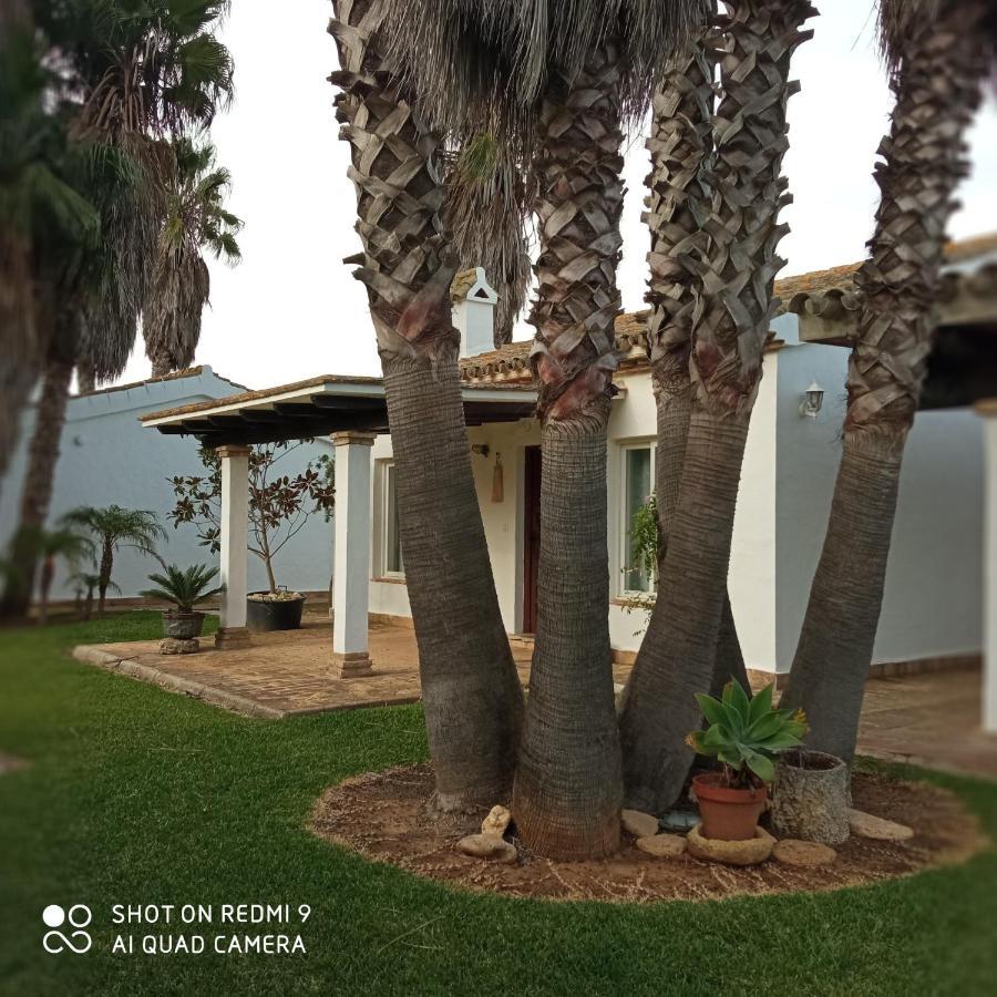El Olivar De Roche Viejo Conil De La Frontera Exterior foto