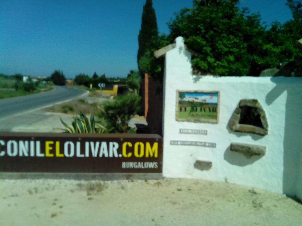 El Olivar De Roche Viejo Conil De La Frontera Exterior foto