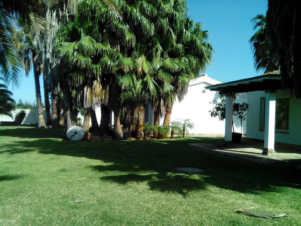 El Olivar De Roche Viejo Conil De La Frontera Exterior foto