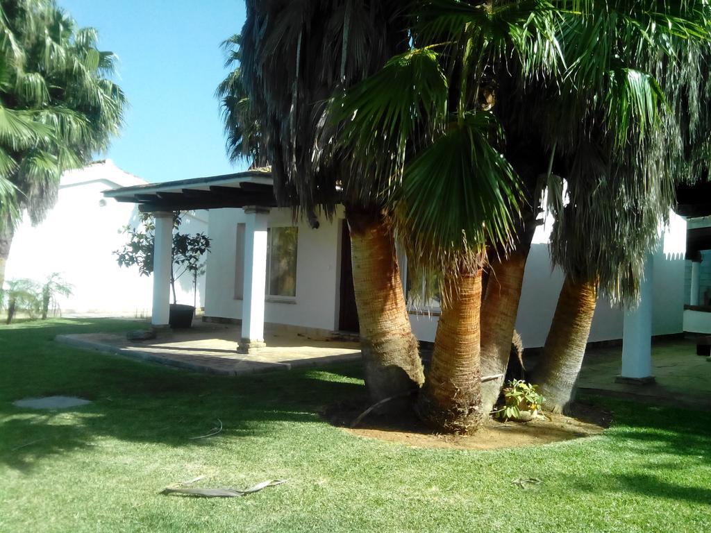 El Olivar De Roche Viejo Conil De La Frontera Exterior foto