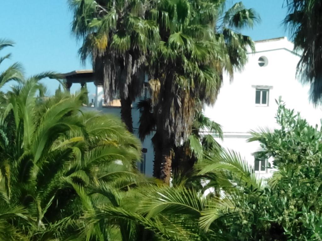 El Olivar De Roche Viejo Conil De La Frontera Exterior foto