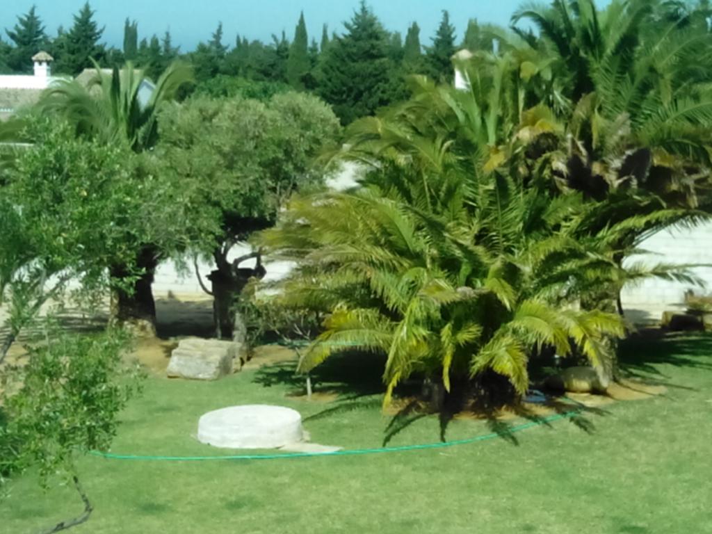 El Olivar De Roche Viejo Conil De La Frontera Exterior foto