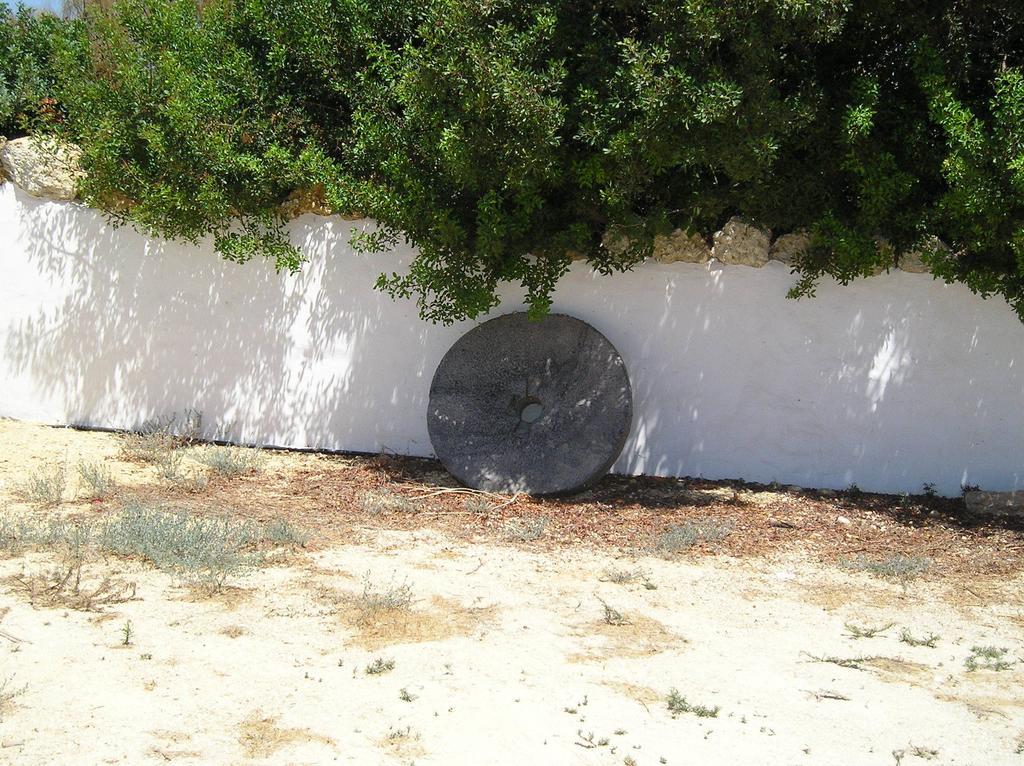 El Olivar De Roche Viejo Conil De La Frontera Exterior foto