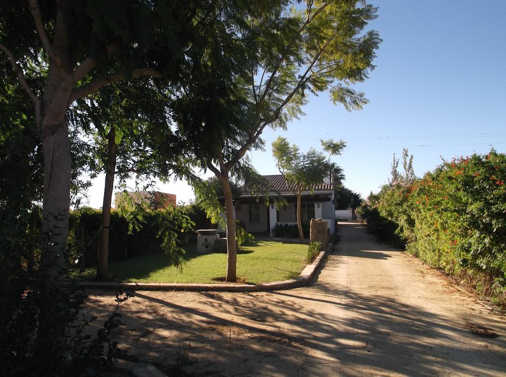 El Olivar De Roche Viejo Conil De La Frontera Exterior foto