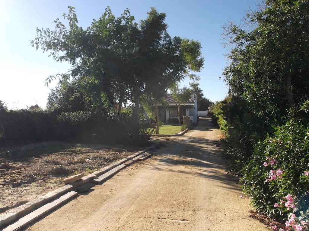 El Olivar De Roche Viejo Conil De La Frontera Exterior foto